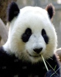 /headphoto/602950.jpg