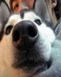 /headphoto/618964.jpg