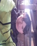 /headphoto/720624.jpg