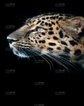/headphoto/759849.jpg