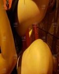 /headphoto/831141.jpg