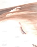 /headphoto/831677.jpg