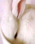 /headphoto/836023.jpg