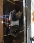 /headphoto/837547.jpg