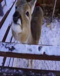 /headphoto/841377.jpg