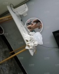 /headphoto/908274.jpg