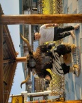 /headphoto/922479.jpg