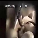 /photo/1/260/00_03_44_small.jpg