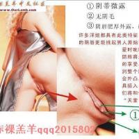 /photo/554394/小逼图/watermark(6)_1_6_small.jpg