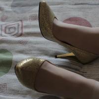/photo/620188/老婆的丝袜高跟鞋/img_1099_1_9_small.jpg