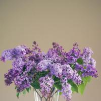 /photo/630655/1235/pictureunlock_9eeacb8cfaf4012d2_1_1_small.jpg