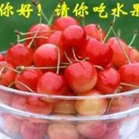/photo/635926/xiuxiu/未命名.jpg0_1_1_small.jpg