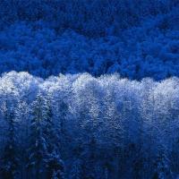 /photo/635997/我自己/winter_1_1_small.jpg