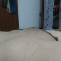 /photo/654660/我老婆/img_20150522_002325_1_2_small.jpg