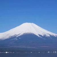/photo/663252/111/e1b7bbb4-55ae-4134-a146-f7e6a0928412_1_1_small.jpg