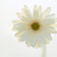 /photo/665007/贴图/g1_1_1_small.jpg