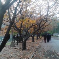 /photo/681431/冬雪的大连/img_20131103_084951_1_7_small.jpg