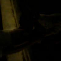 /photo/713400/和单男/e1776980-e179-4f08-8f4a-b964381_1_1_small.jpg