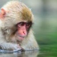 /photo/713668/往事/psb4l3je3g6_1_1_small.jpg