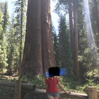 /photo/718240/看看/178a5b62-d1c6-483c-a481-f15bf21_1_7_small.jpg
