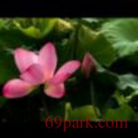 /photo/719085/旅行/bd4fb75f94b2373e7802128cb915ad59_1_1_small.jpg