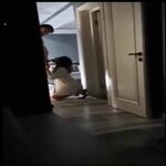 /photo/720230/Willie/被偷窥了_1_3_small.jpg