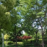 /photo/723993/娇妻/img_20140516_095344_1_2_small.jpg