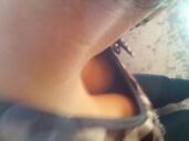 /photo/725510/老婆的照片/00003592_1_4_small.jpg