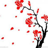 /photo/735510/头像/u=2190682252,2529275054&fm=21&g_1_15_small.jpg