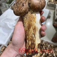 /photo/742759/青筋爆起/6194034b-d446-4b46-a3be-1019384fdd5e_1_1_small.jpg