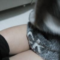/photo/743450/丰满老婆/qq截图20150607203036_1_4_small.jpg