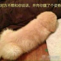 /photo/768727/原创/qq图片20170425075520_1_4_small.jpg