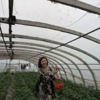 /photo/772454/生活照/mmexport1461298118474_1_5_small.jpg