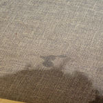 /photo/805459/老婆/mmexport1680518294705_1_4_small.jpg