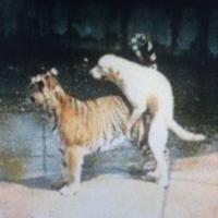 /photo/809207/我的照片/e66a50bd3e629942b8bc1d992093dd9_1_1_small.jpg