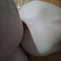 /photo/818223/老婆/15674336872120.7448540122303154_1_1_small.jpg