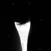 /photo/820909/飞一般/20190328_img_6476_1_1_small.jpg
