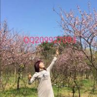 /photo/823054/老婆/fd3442dd263cf6c623284568bd2d1_1_5_small.jpg