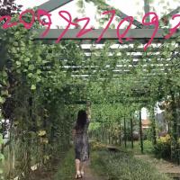/photo/823054/老婆/img_20180625_174930_1_6_small.jpg
