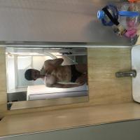 /photo/823989/本人/c8458f36-ce0d-4e6b-b04e-b21ad8a_1_1_small.jpg