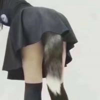 /photo/830247/鸡巴十八/hdimg_d00ca8e3cd035b8e3d7f6d095_1_1_small.jpg