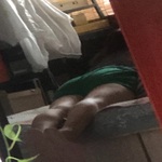 /photo/865127/真真切切/044ee5cc-c2d2-46dc-8b74-bf8fcf4da276_1_5_small.jpg