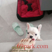 /photo/867378/我与豆豆/mmexport1598074650773_1_2_small.jpg