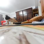 /photo/878218/風韻猶存/2406-37_1_4_small.jpg